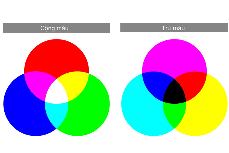 vong-mau-co-ban
